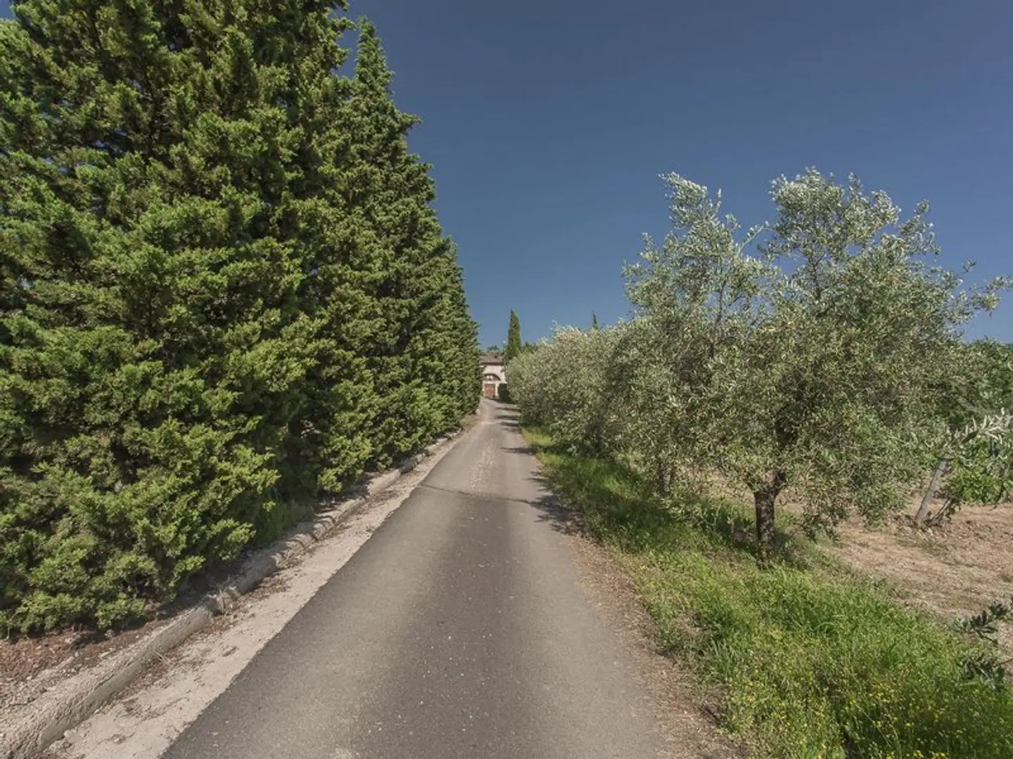 Relais Santa Cristina LANDSCAPE
