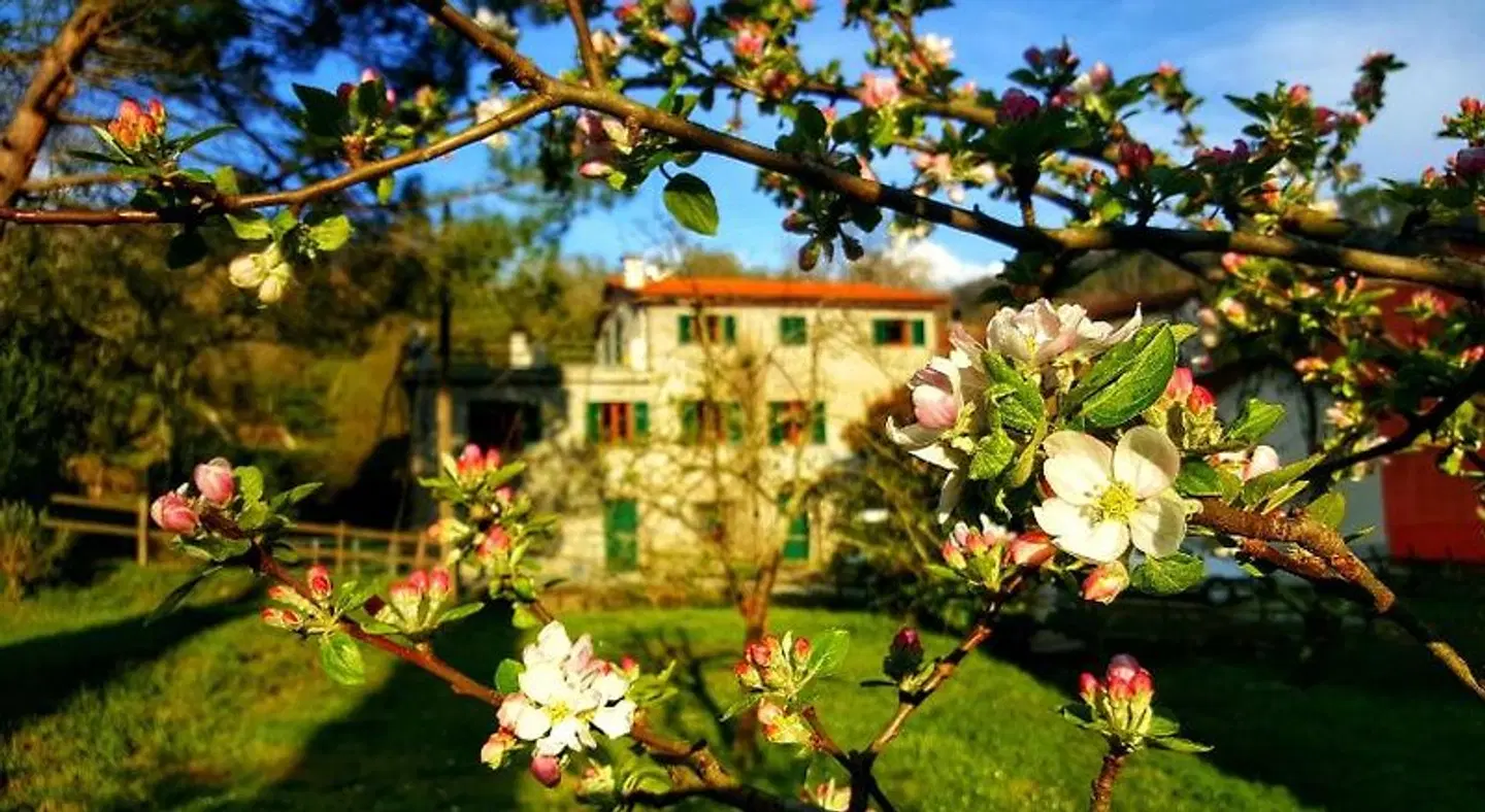 Tre Ponti Garten