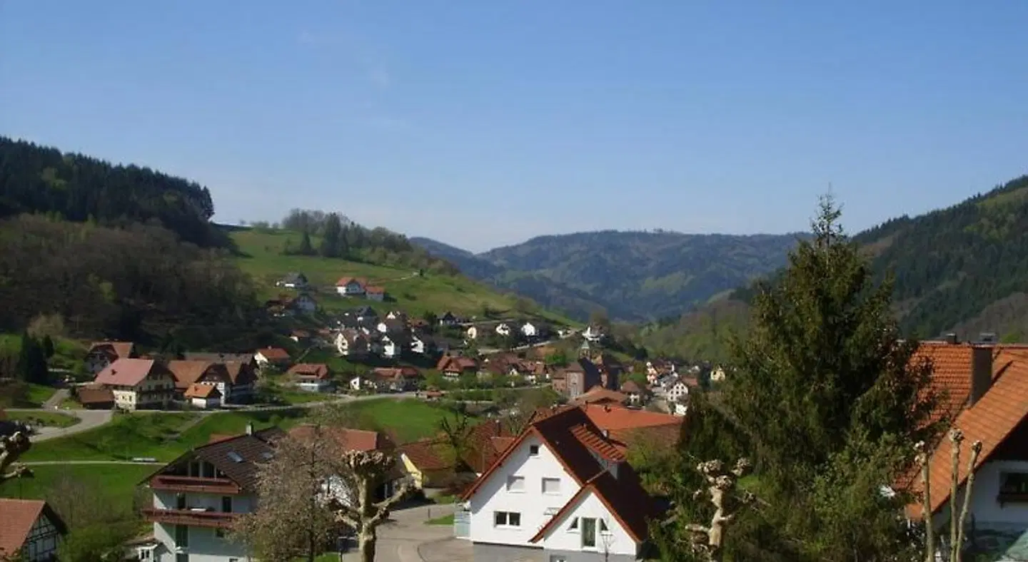 Williams LANDSCAPE