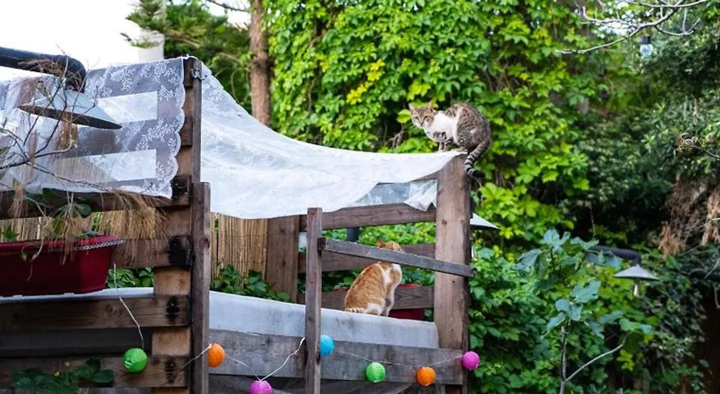 Chania Hostel Terrasse