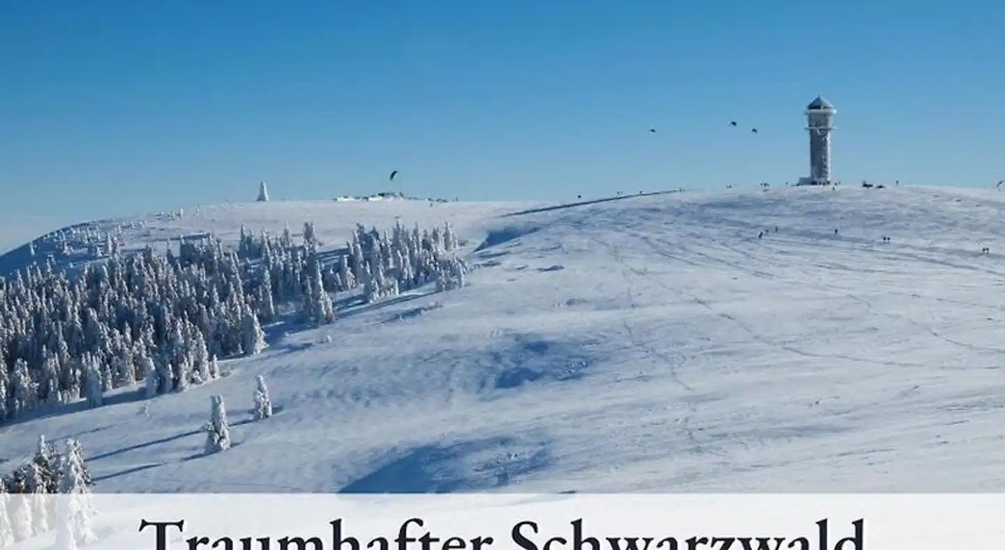 Relax Pension Feldberg Landschaft