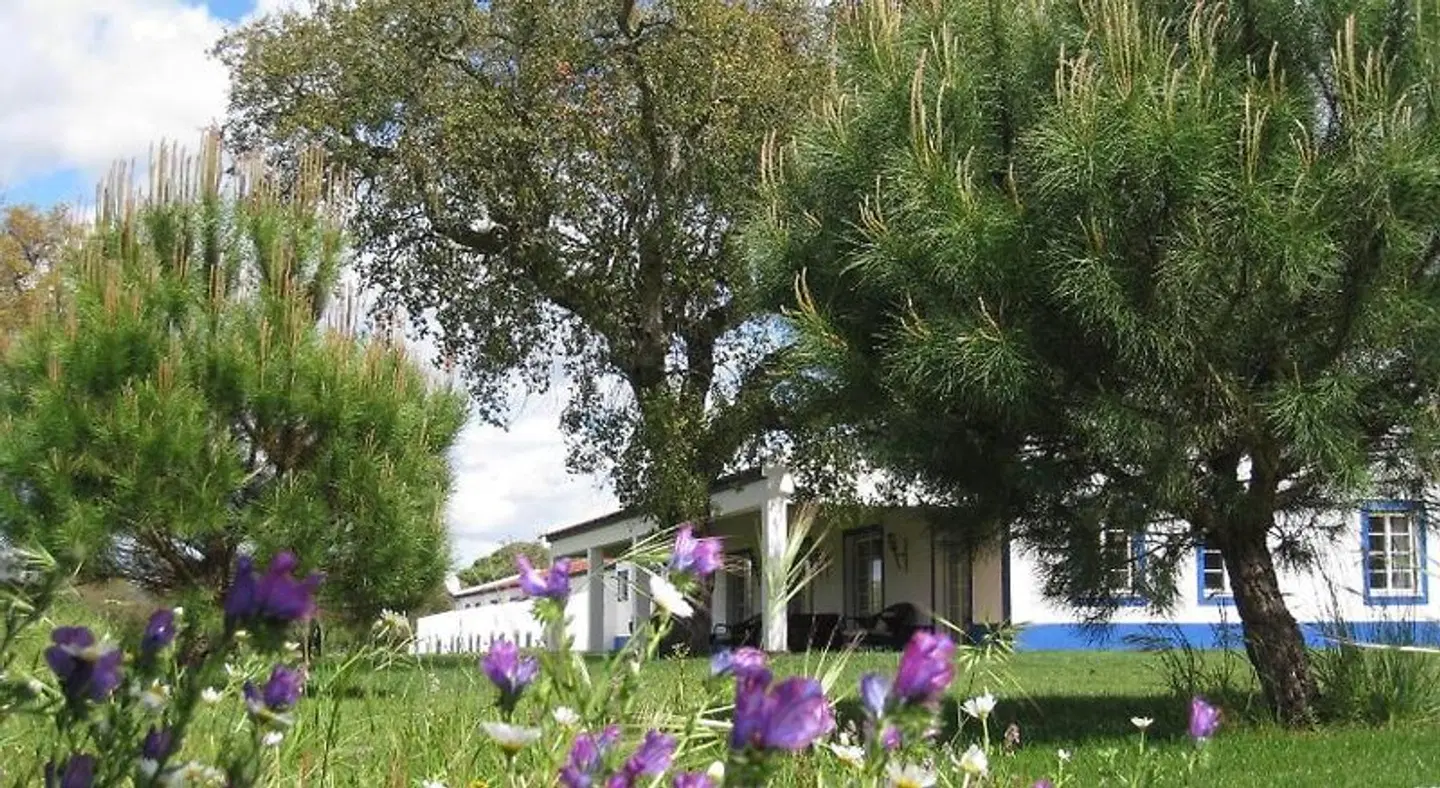 Monte das Faias Garten