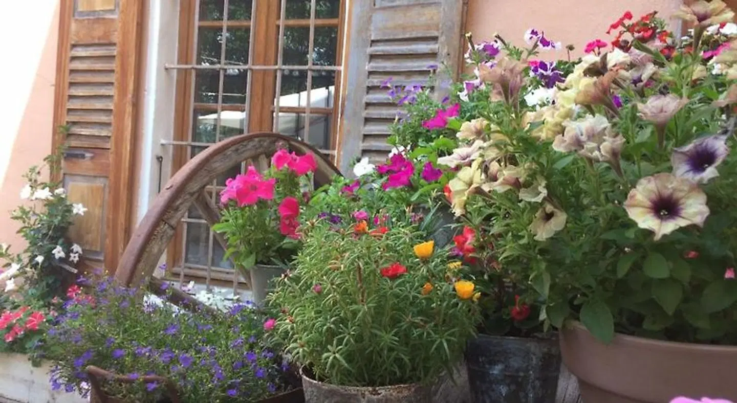 Le Val d'Ailleurs EXTERIOR