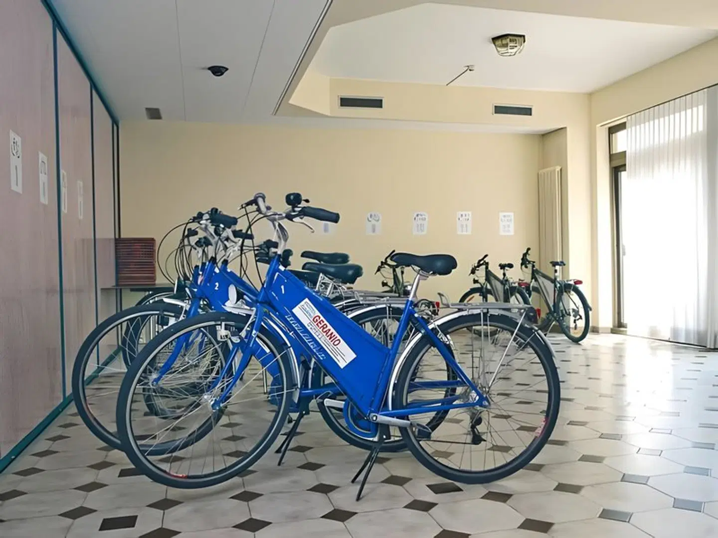 Hotel Geranio au Lac SPORTS_AND_LEISURE