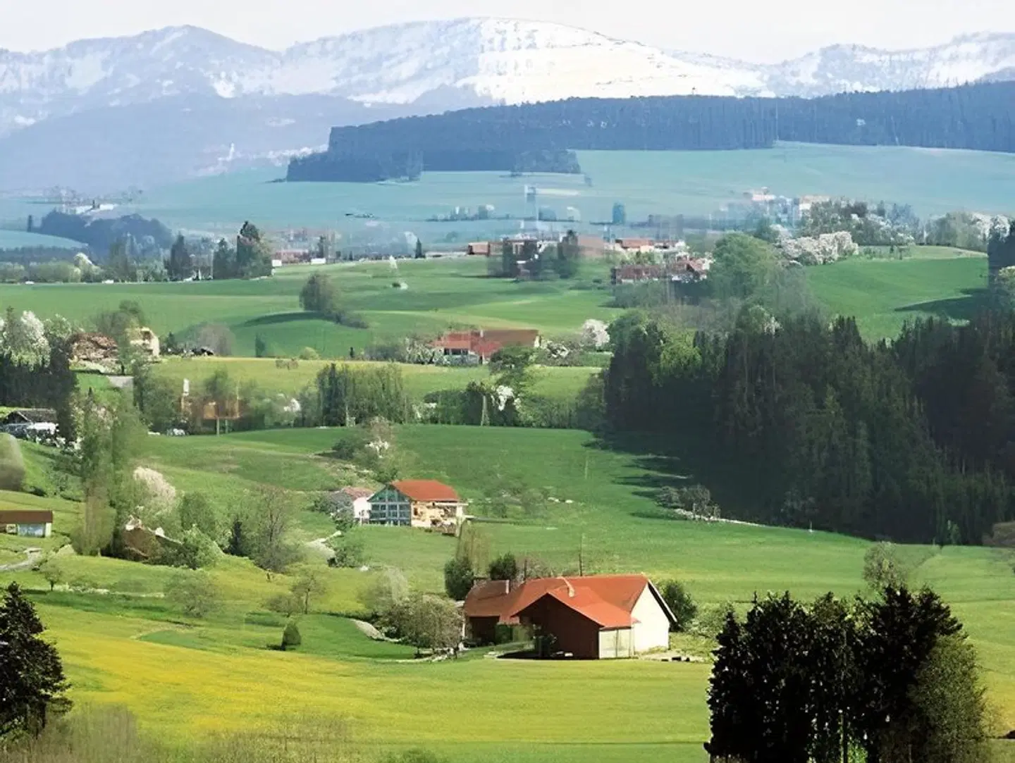 Engel LANDSCAPE