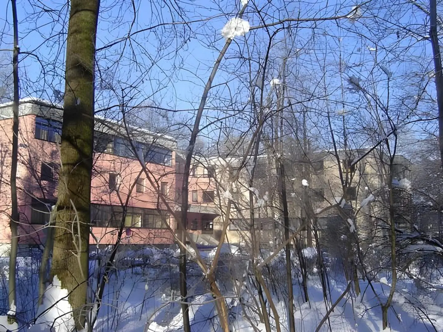 Junge Hotel Eduard-Heinrich-Haus LANDSCAPE
