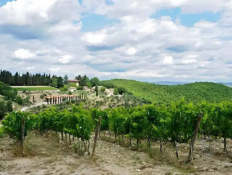 Querceto Di Castellina – Hotelfoto