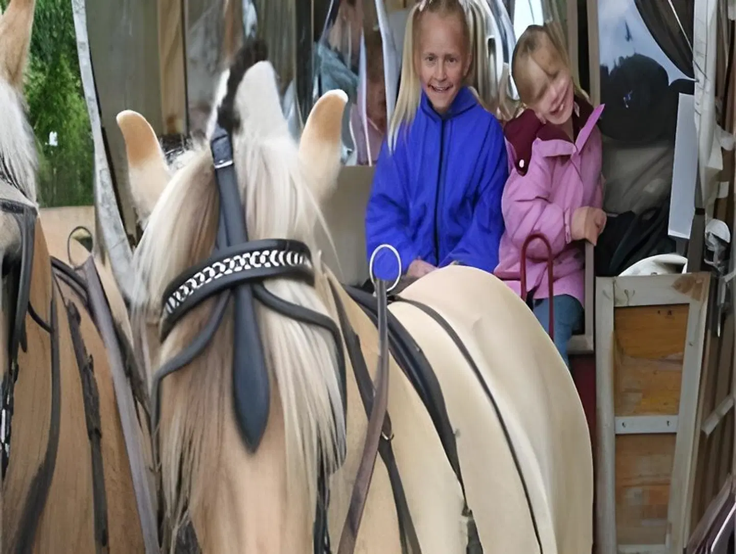 Backenköhler PEOPLE