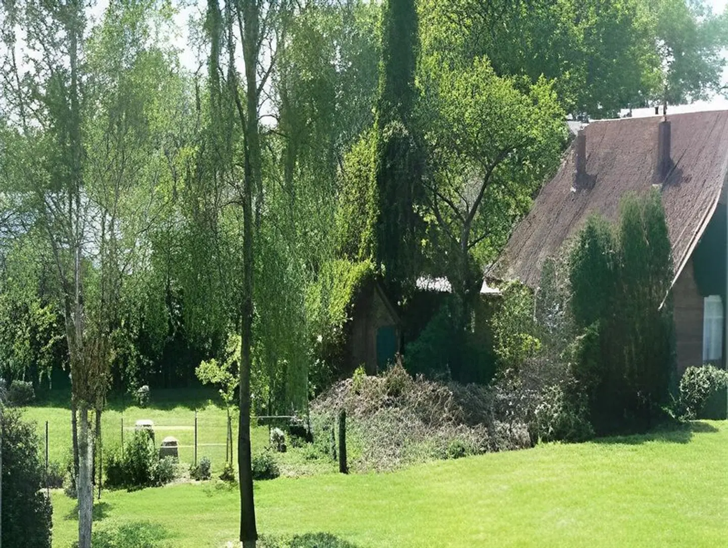 Backenköhler Garten