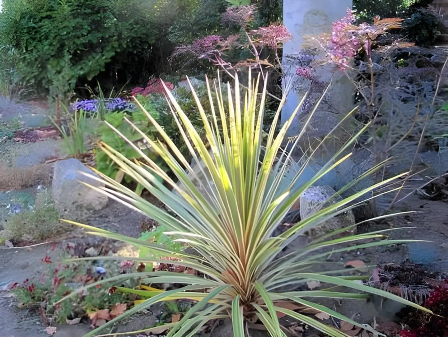 The Loudor Garten