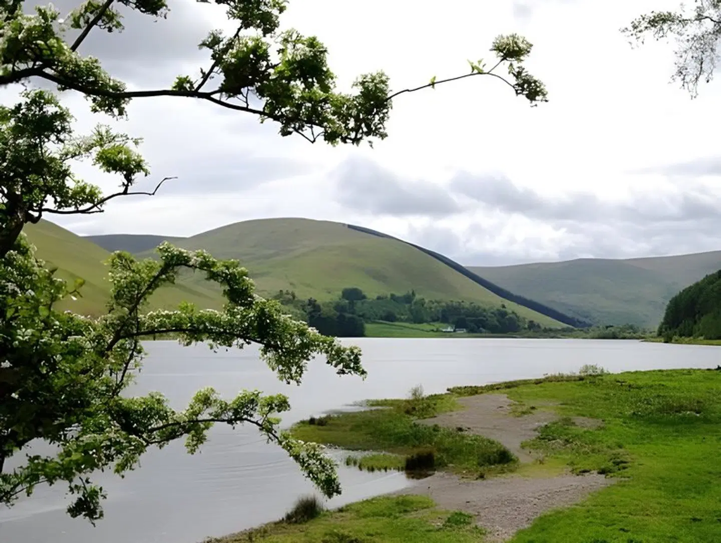 Buccleuch Arms LANDSCAPE