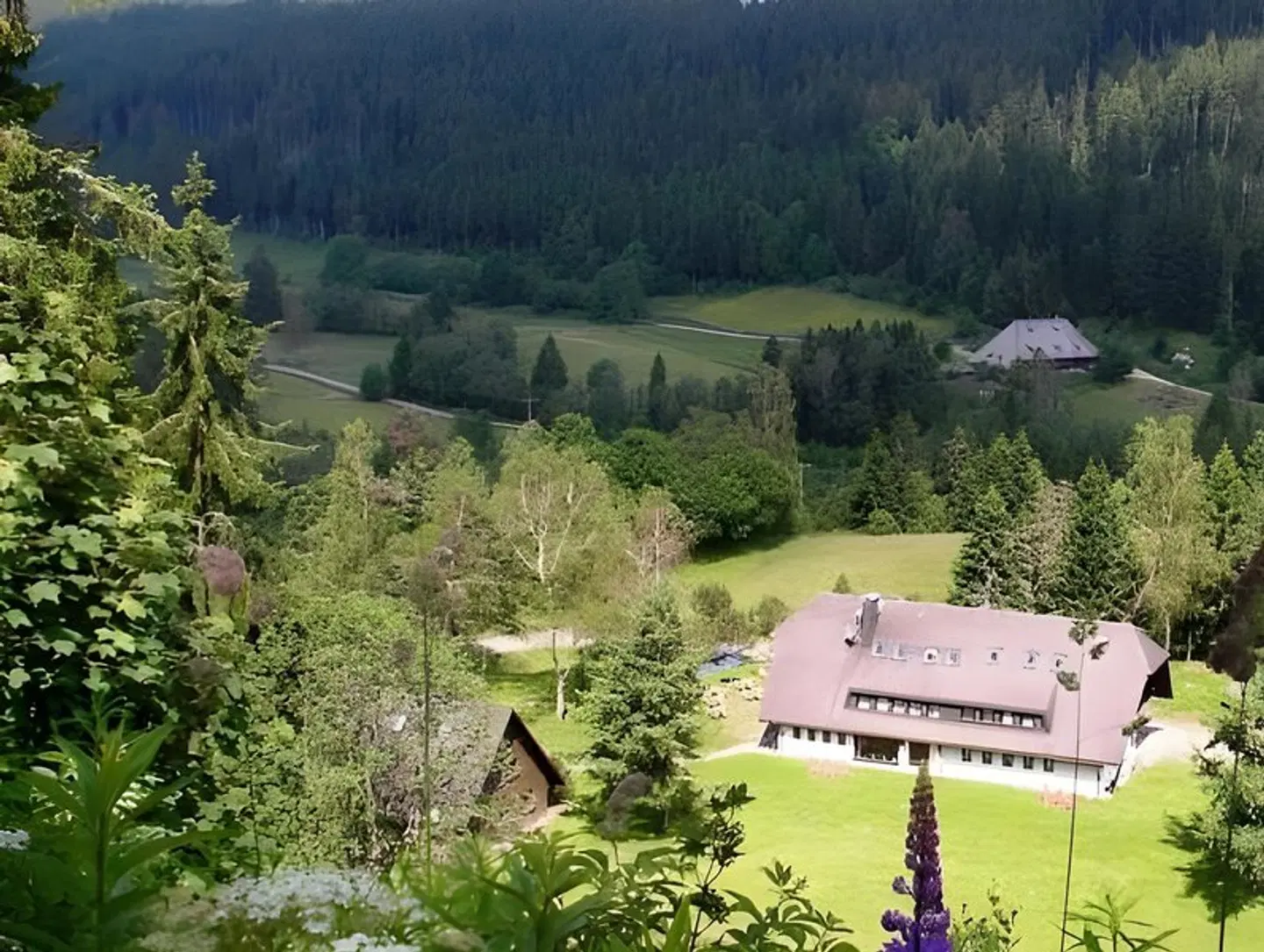 Behabühl LANDSCAPE