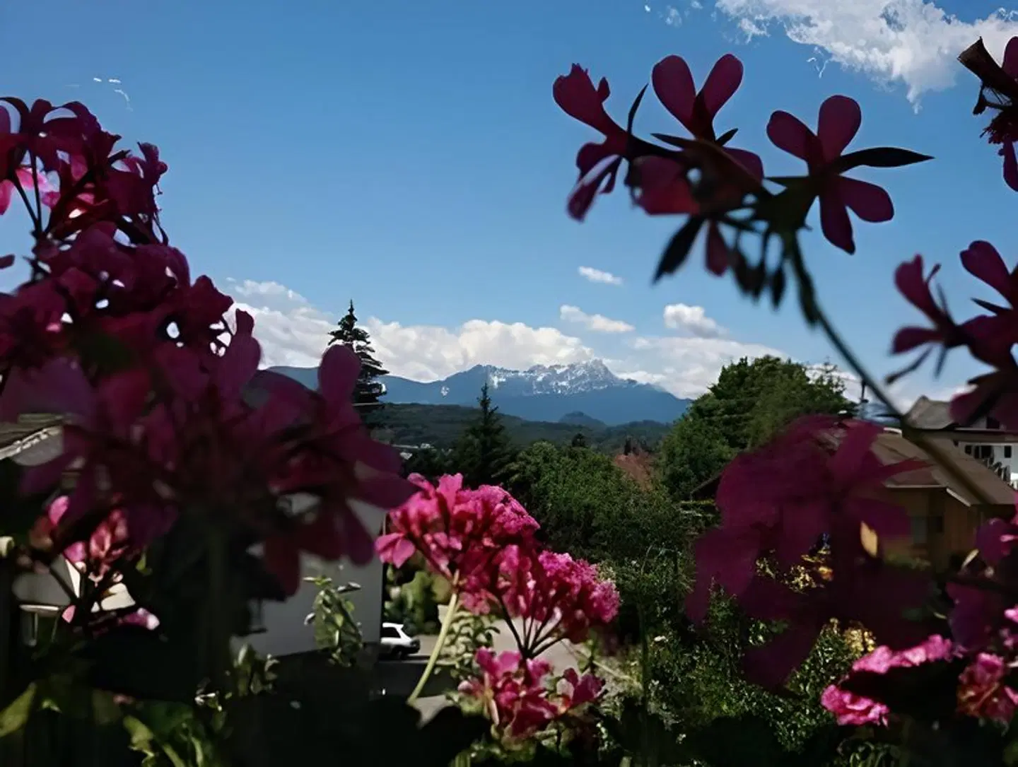 Hotel Diana LANDSCAPE