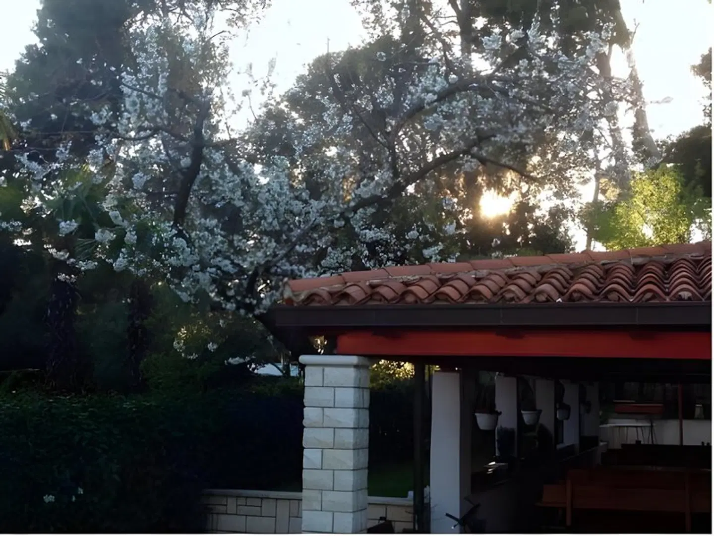 Apartments Villa Ban EXTERIOR