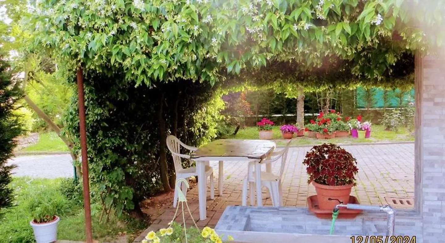 5 Palme Terrasse