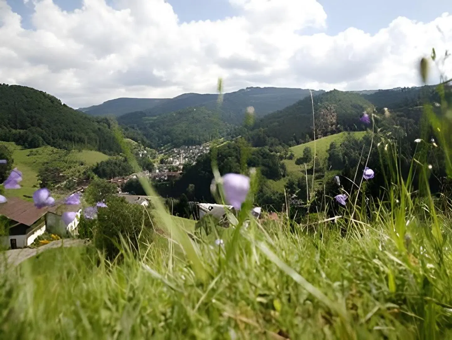 Ehrenmättlehof Faißt LANDSCAPE