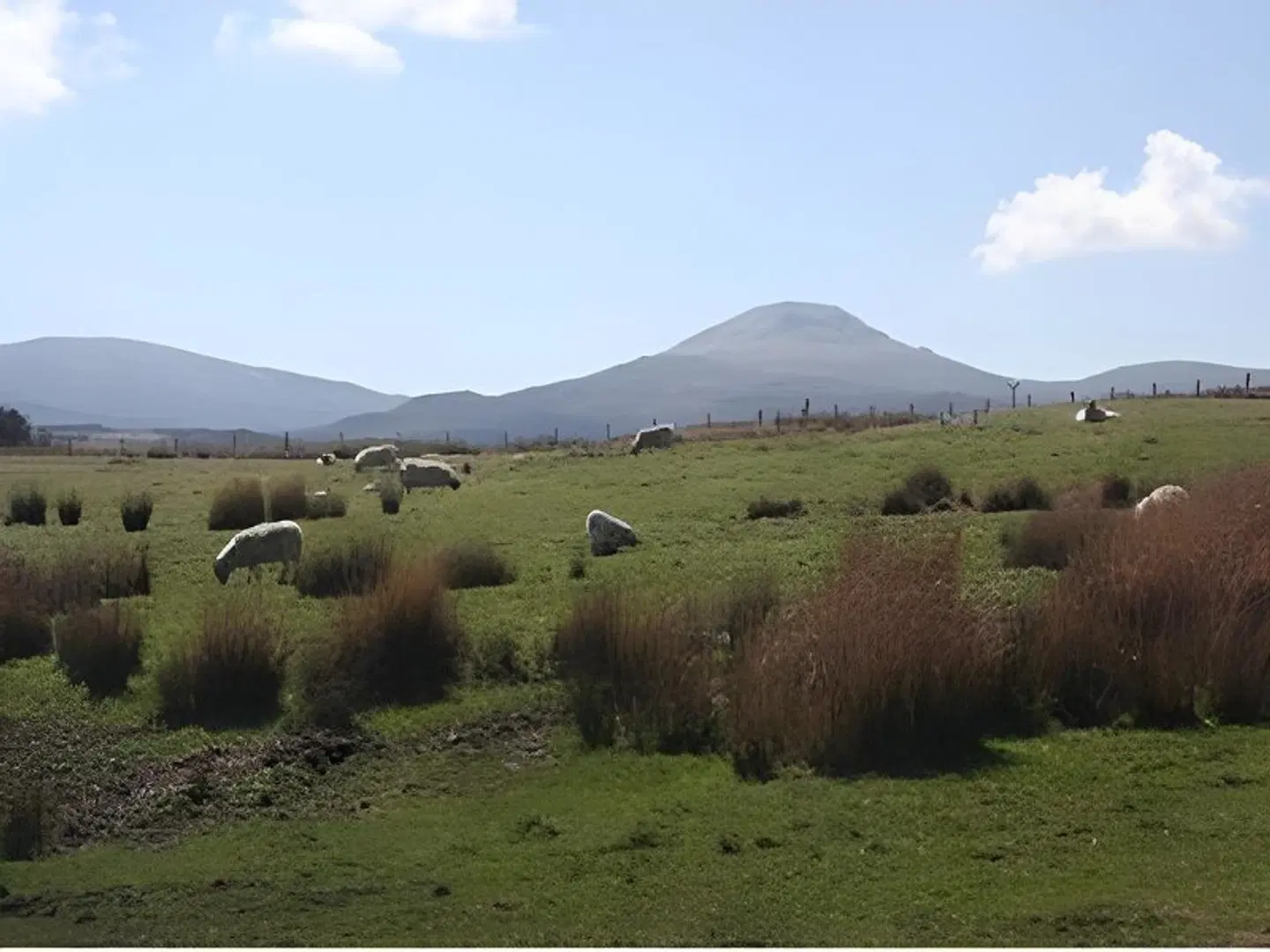 Roskhill House LANDSCAPE