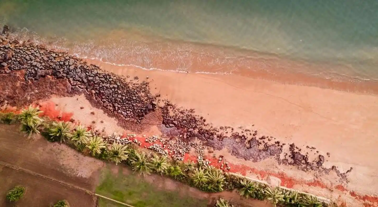 Dundee Beach Holiday Park Landschaft