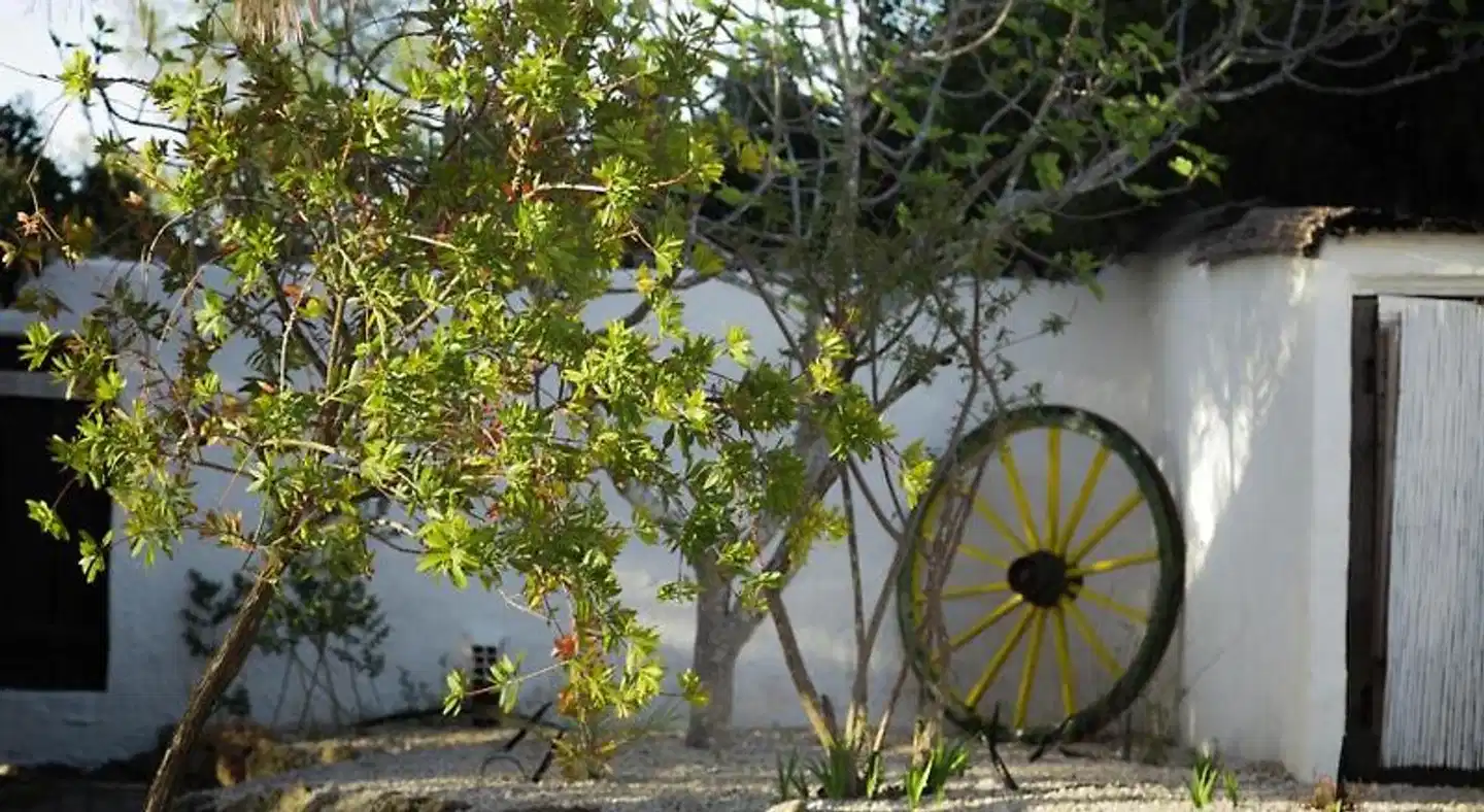 Vila Horizonte Garten