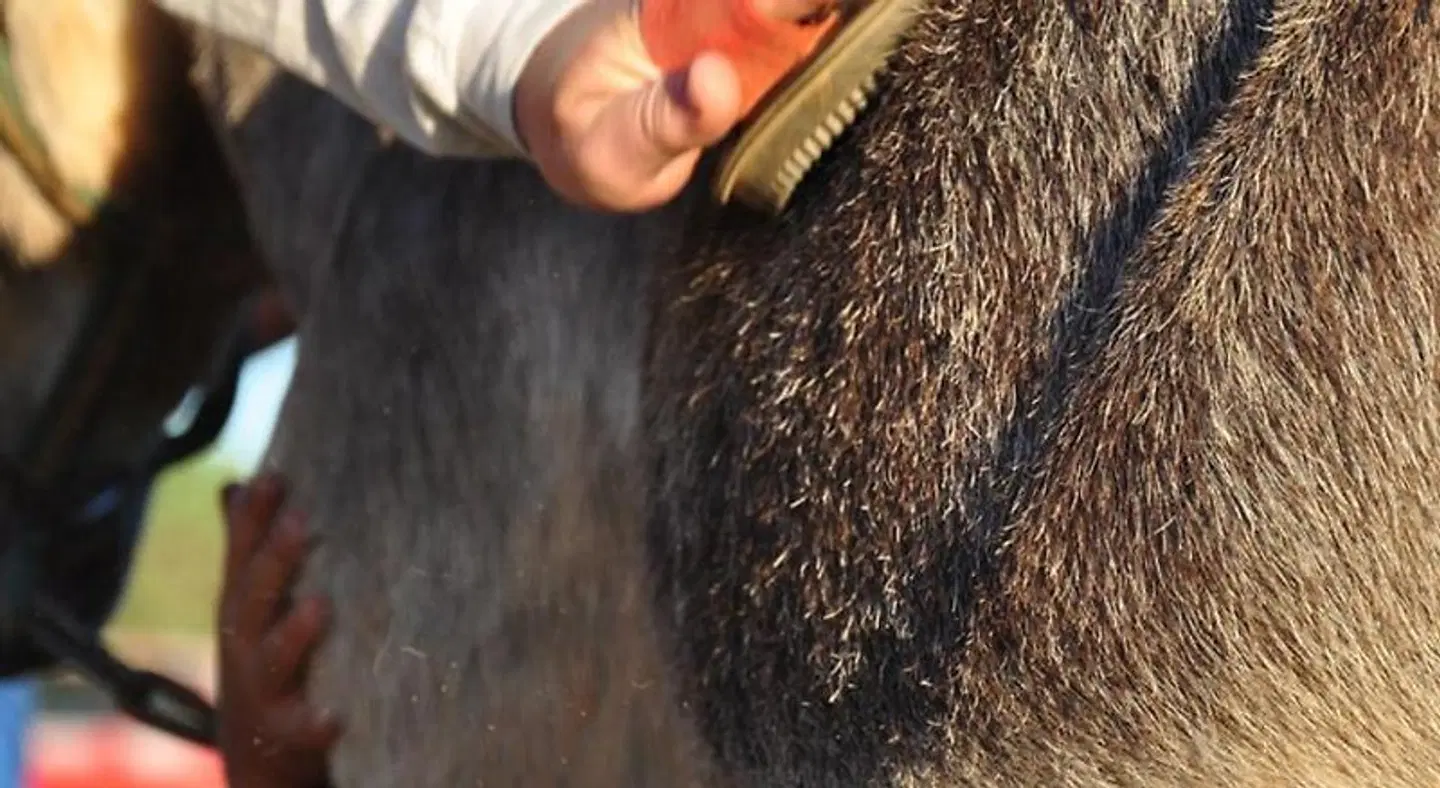 Quinta Pero Vicente PEOPLE