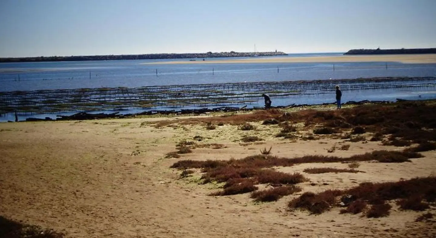 Suites da Ria Strand