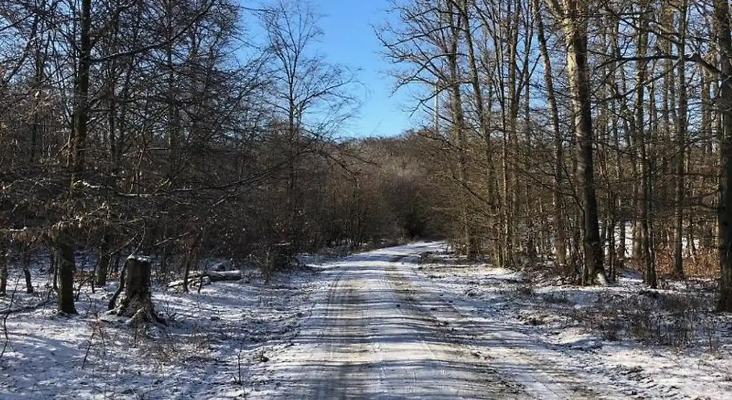 Gastehaus Kohler Landschaft