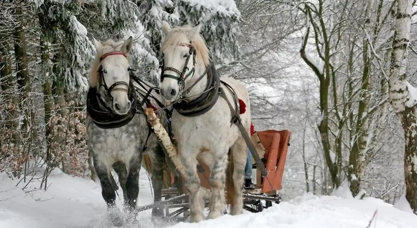 Landhaus im Rinnetal Tiere