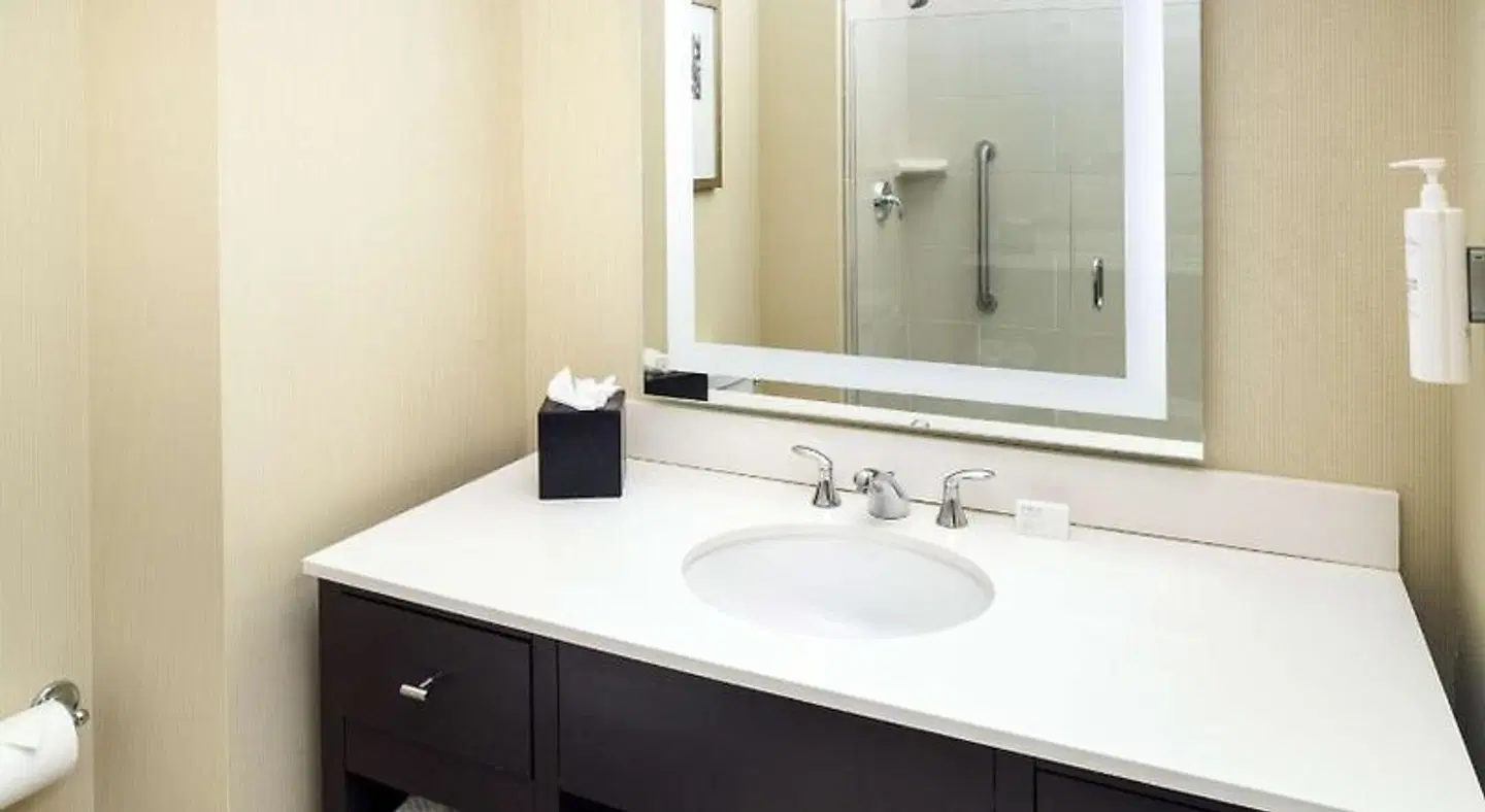 Embassy Suites by Hilton Saint Louis - Downtown Badezimmer