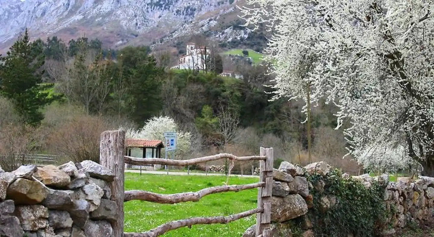 Apartamentos San Antonio Garten