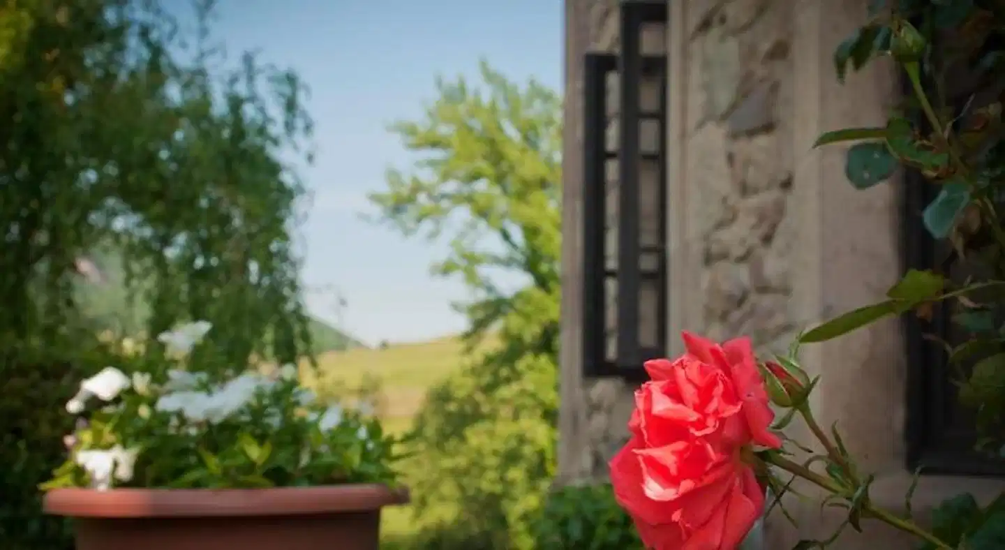 El Molino de Cicera Garten