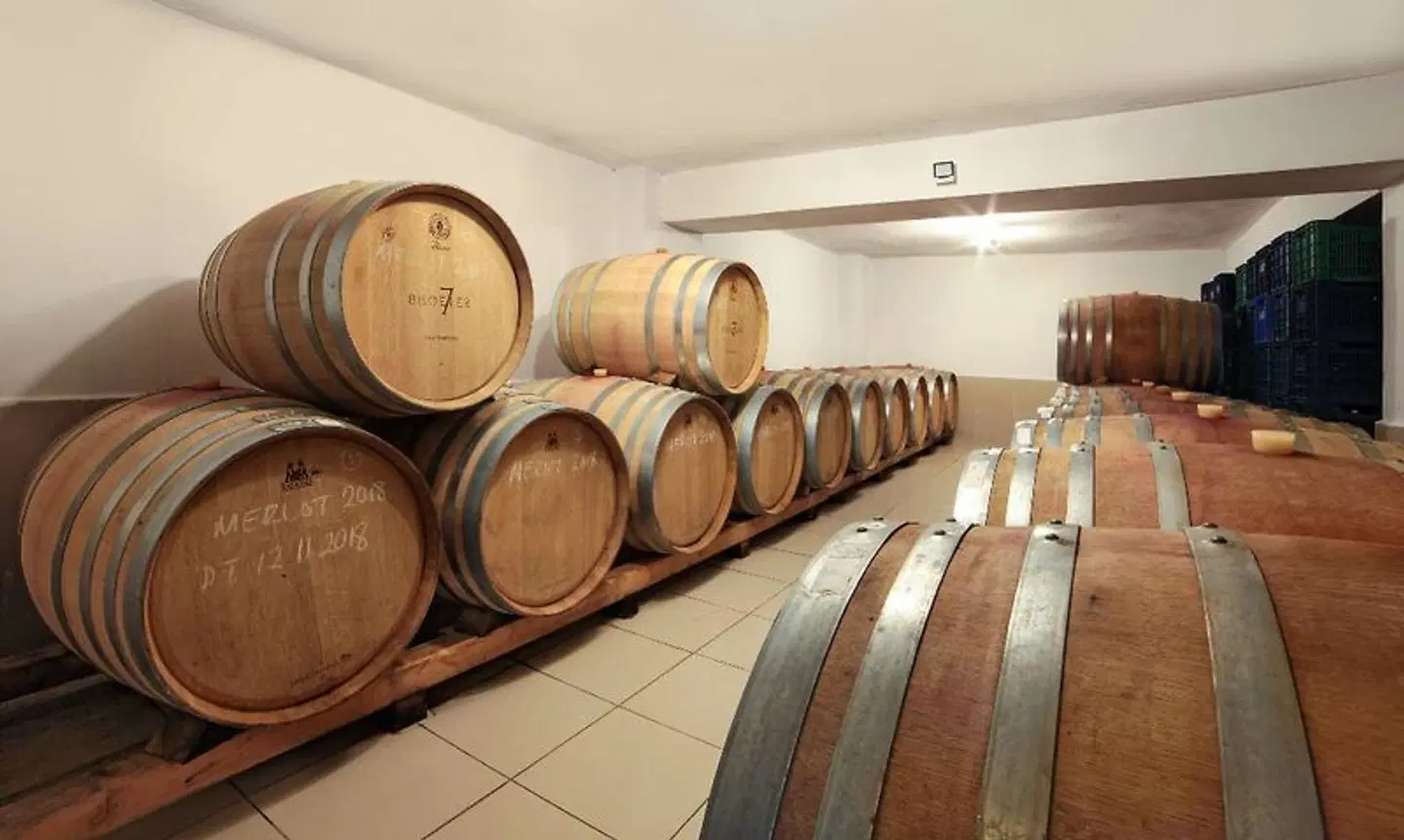 Vinifera Vineyards Hotel Konferenz