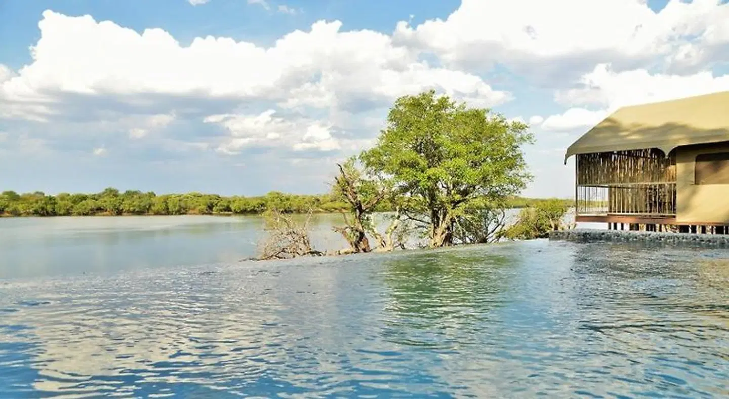 Jackalberry Chobe LANDSCAPE