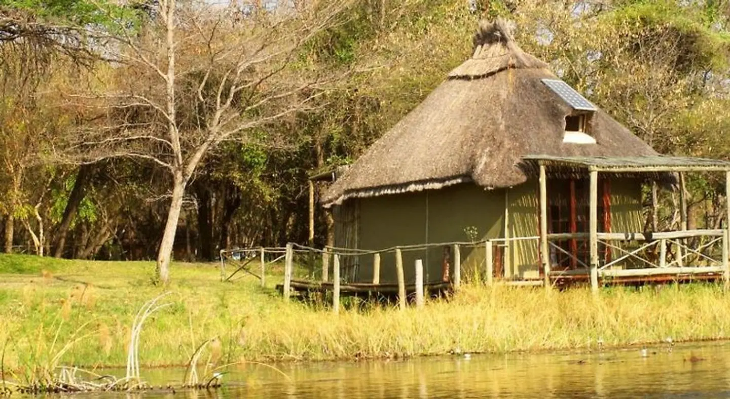Camp Kwando Tiere
