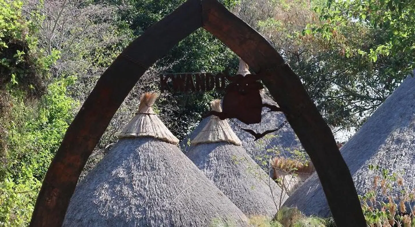 Camp Kwando Tiere