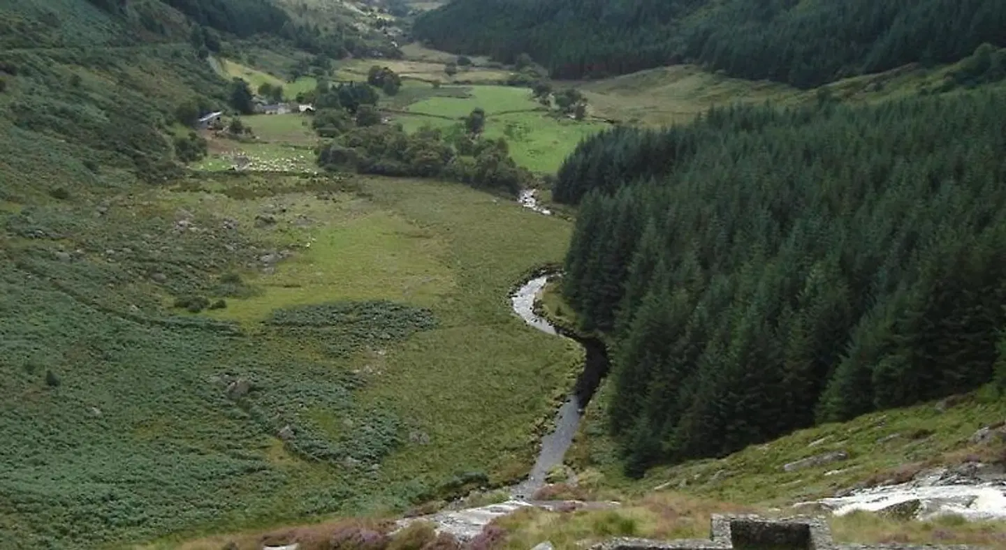 Lough Dan House LANDSCAPE