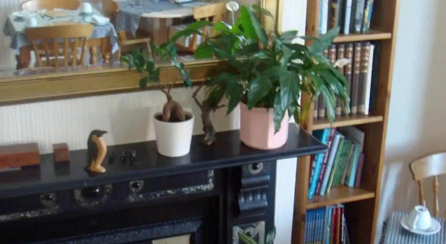 The Harlequin Guest House Lobby