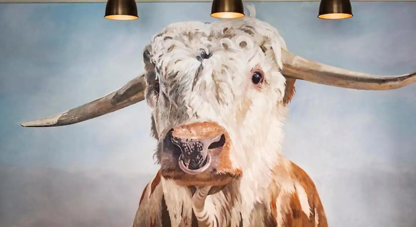 The Bull Hotel Tiere