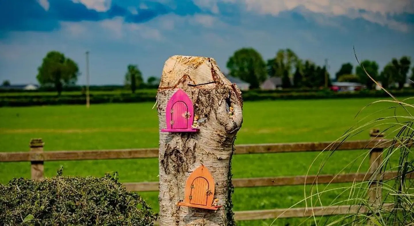 The Ring Farmhouse Tiere