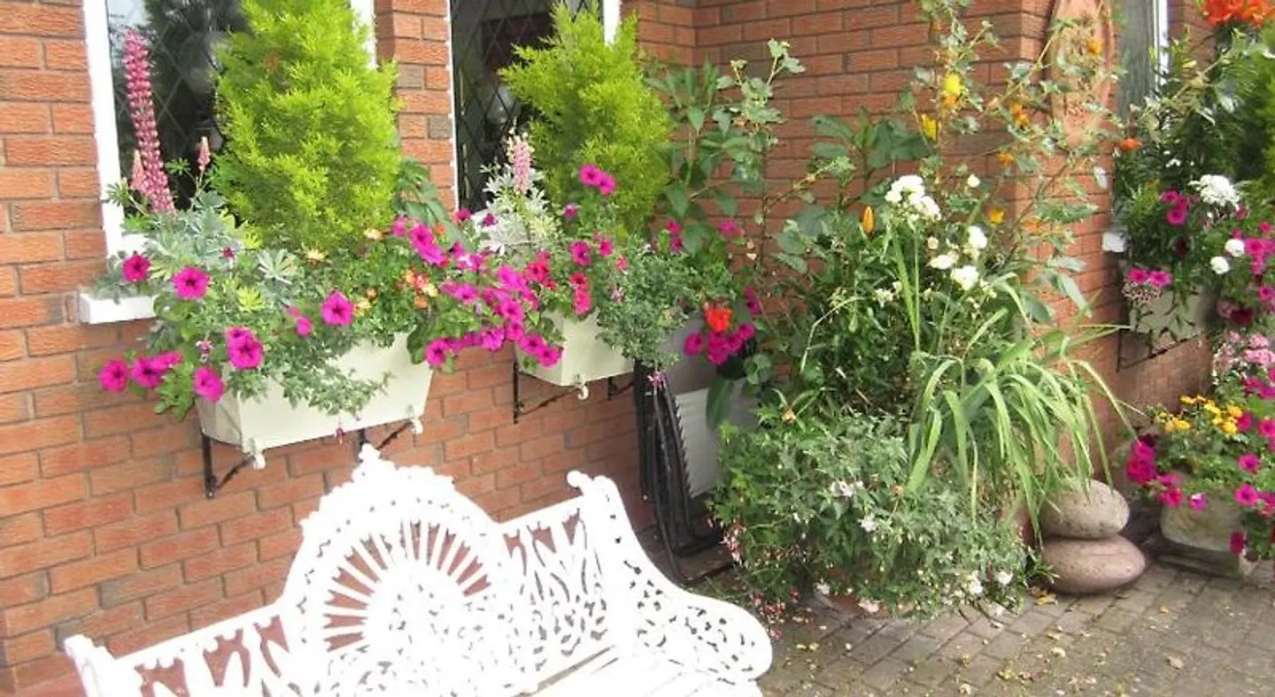 Killyon Guest House Garten