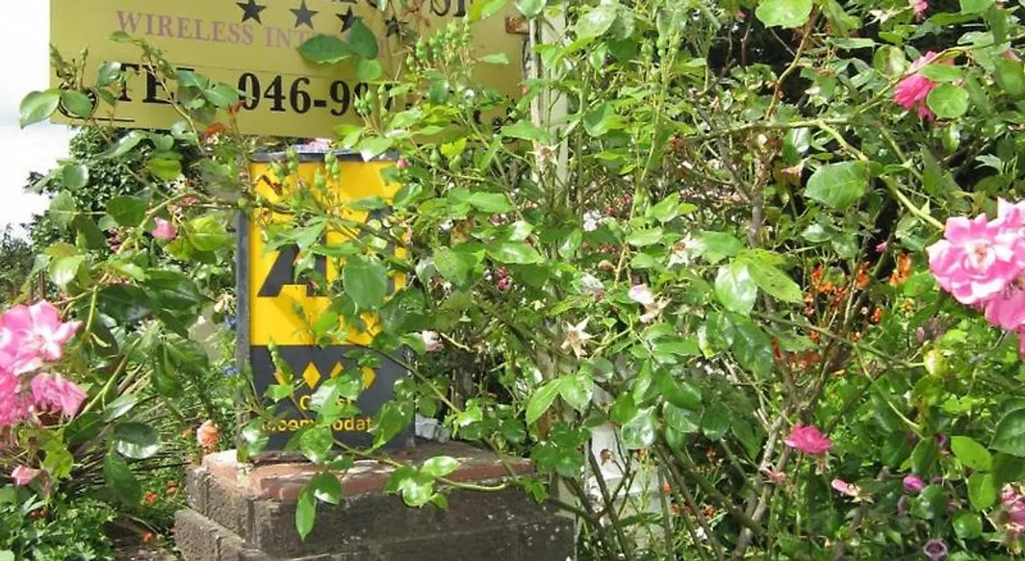 Killyon Guest House Garten