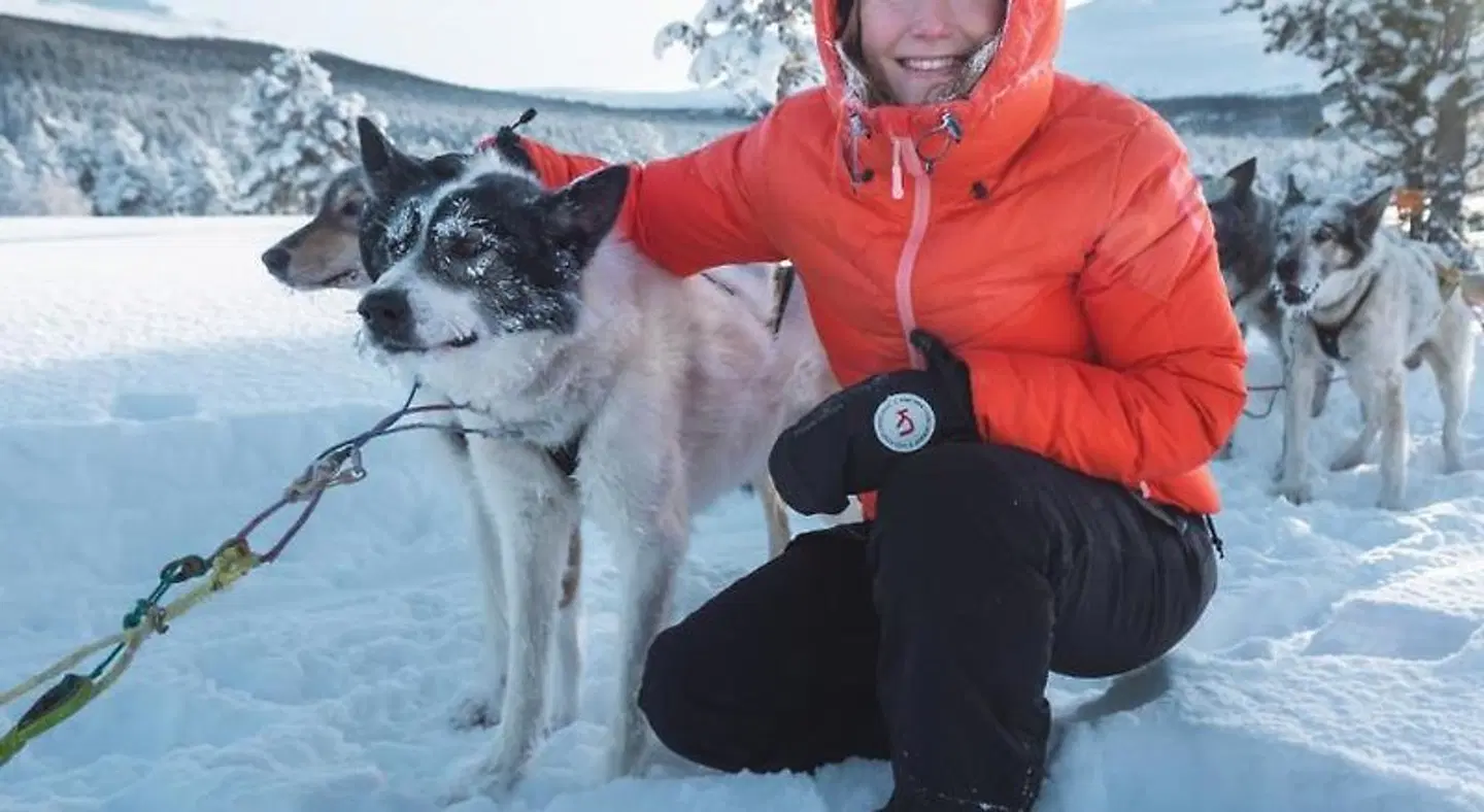 Sjodalen Hyttetun og Camping SPORTS_AND_LEISURE
