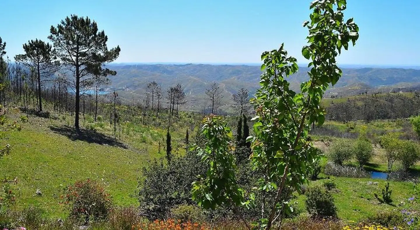 B&B Quinta O Ninho LANDSCAPE