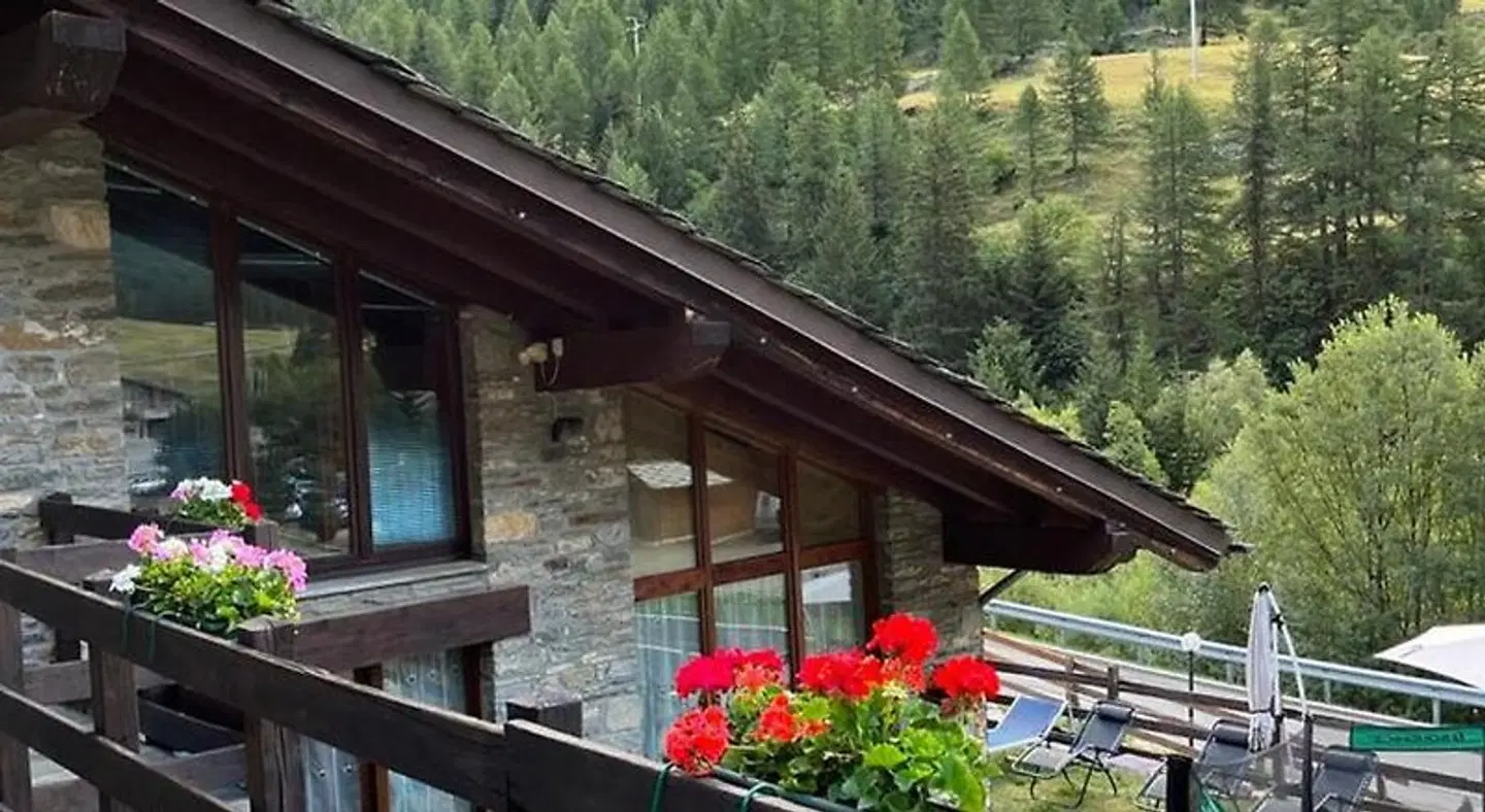 Arthemisia EXTERIOR