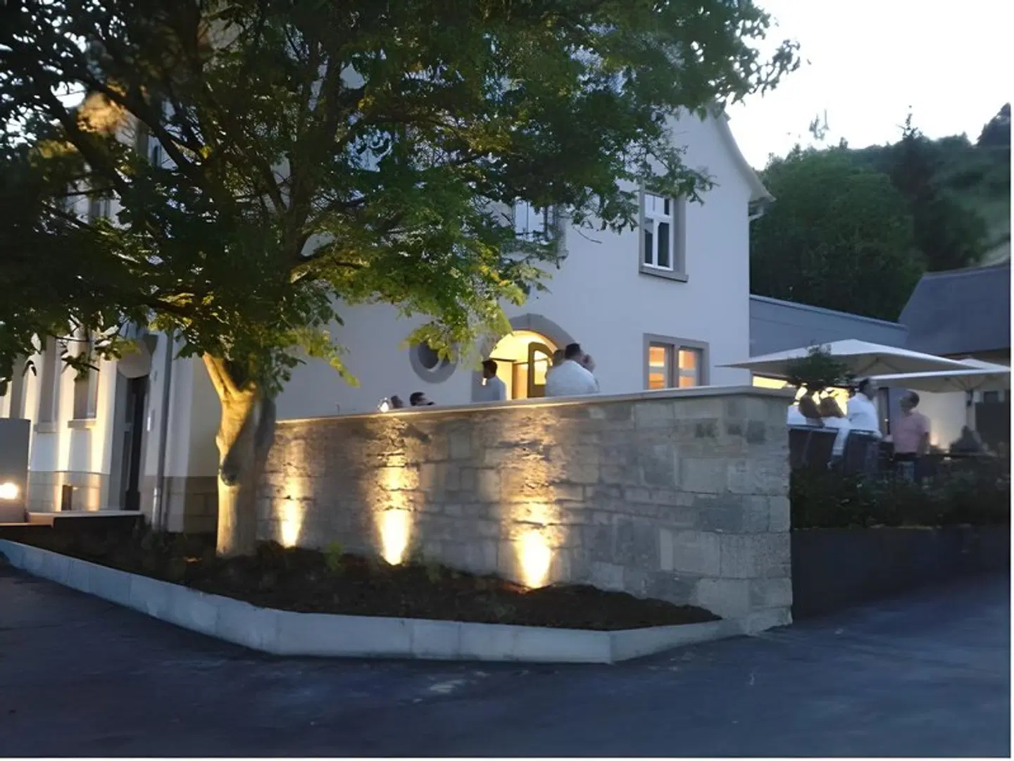 Weinherberge Rebgut OUTDOOR_POOL