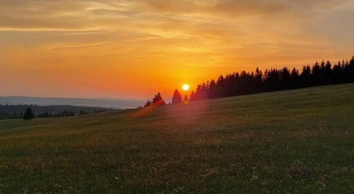 Landgasthof Neitsch LANDSCAPE
