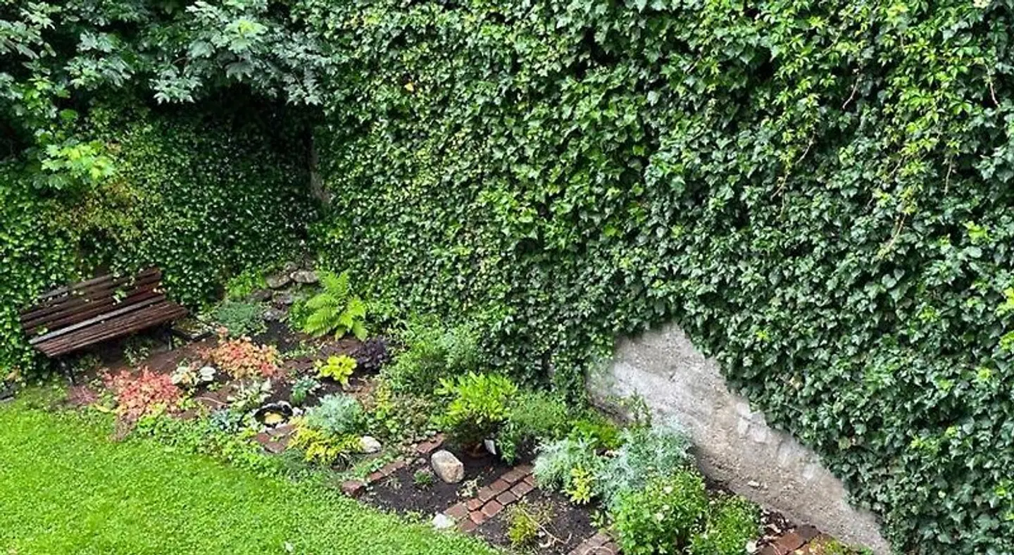 Pension Steiner Garten