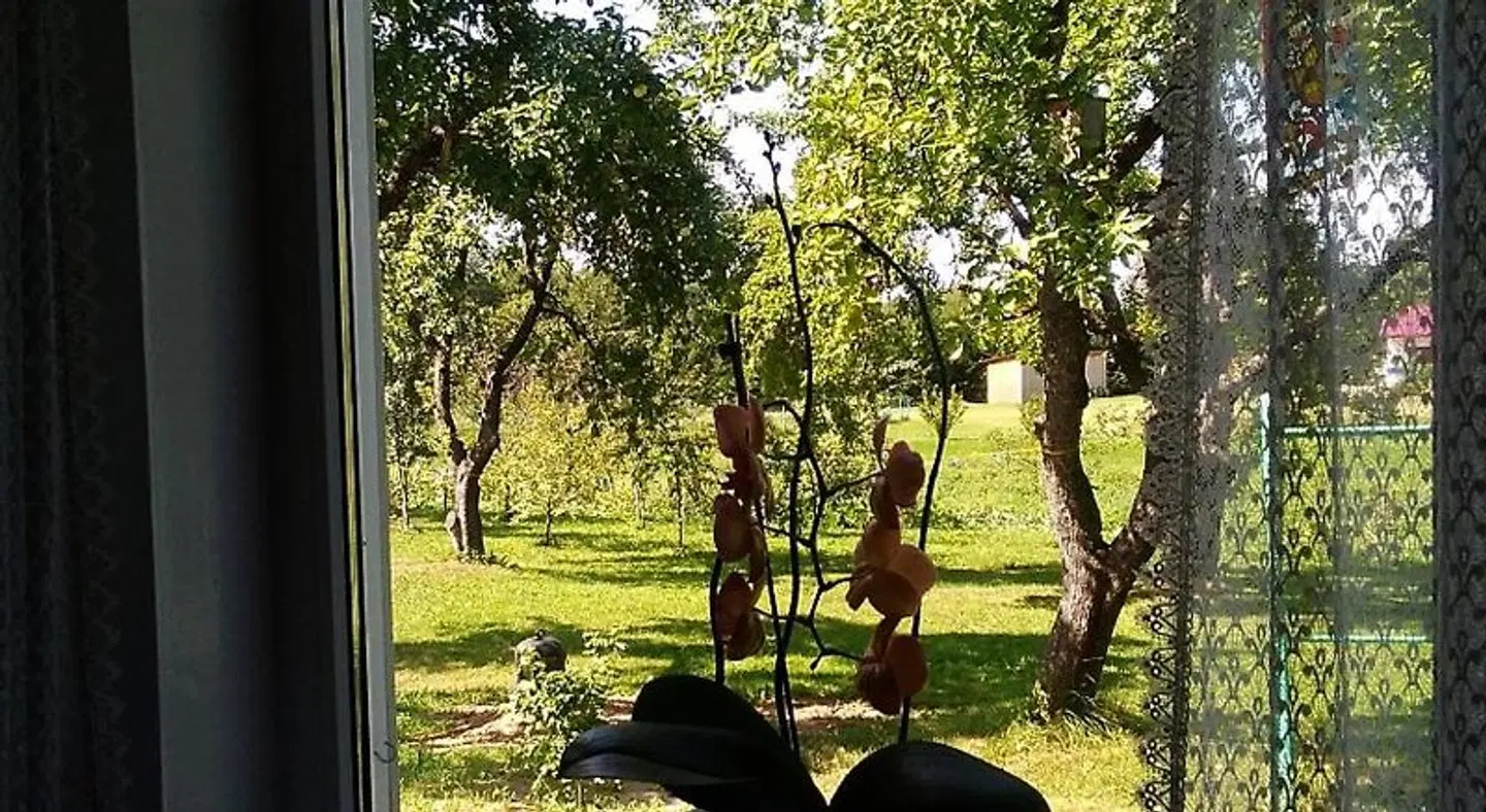 Ceslovos sodyba Garten