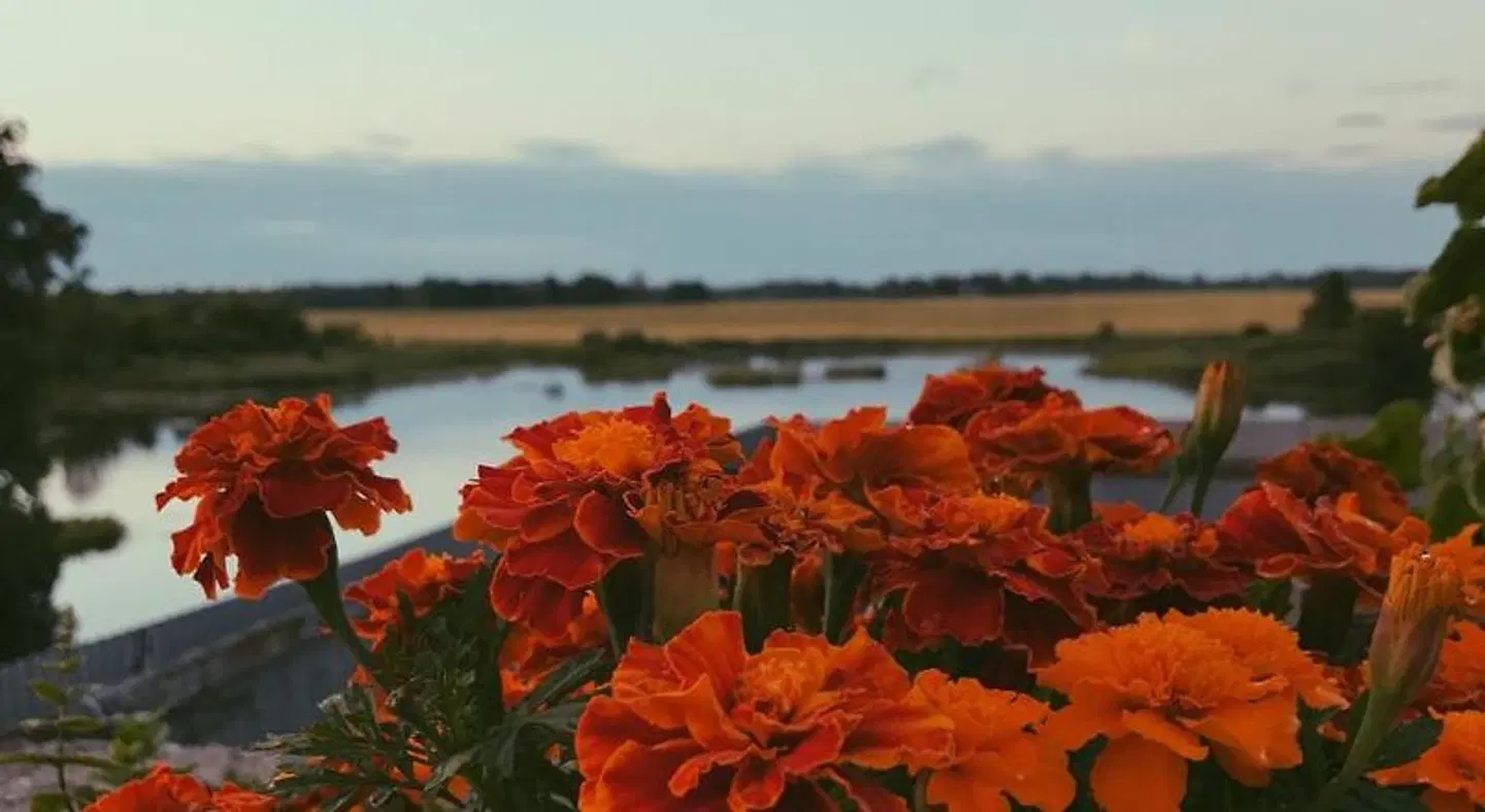 Ilmatsalu Motell LANDSCAPE