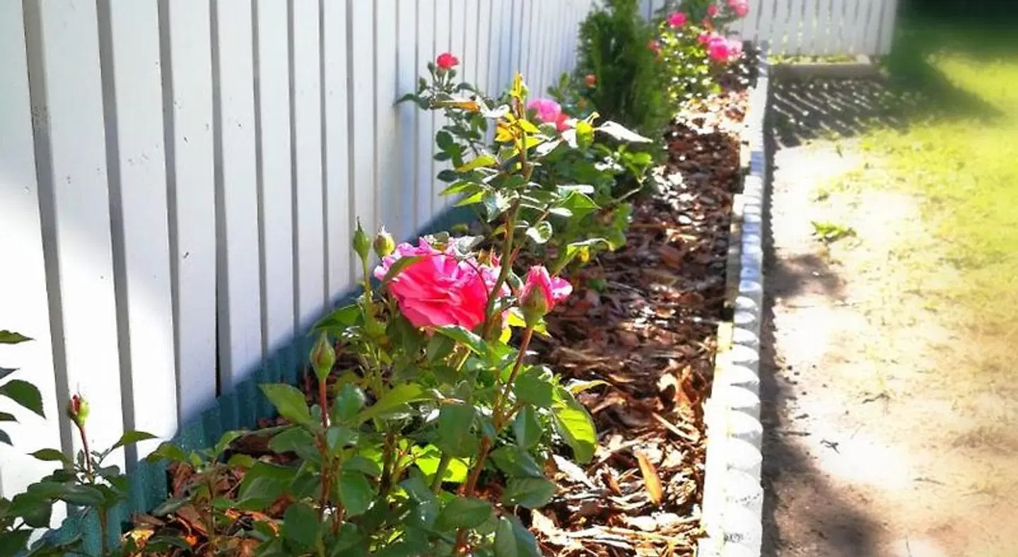 Mia Guesthouse LANDSCAPE