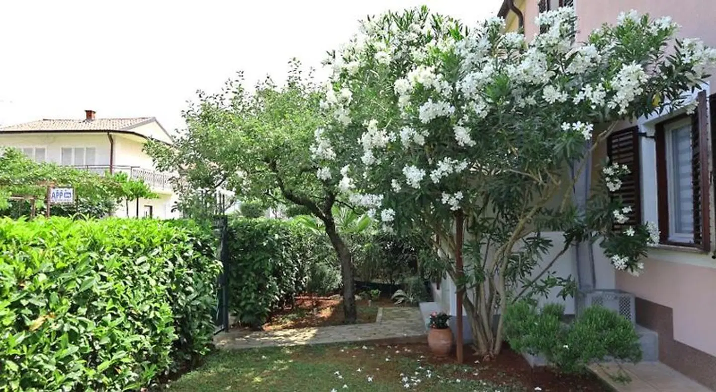 ANA house with apartments Garten